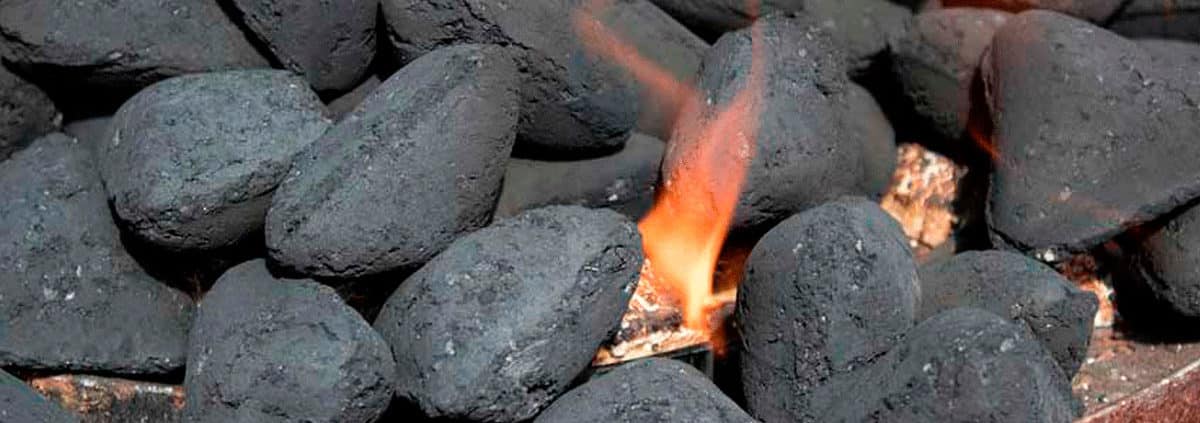 Ventajas del carbón vegetal en barbacoas