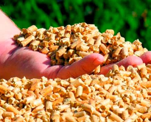 Principales usos de la biomasa