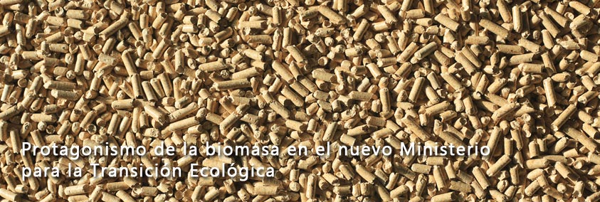Protagonismo de la biomasa para la transición