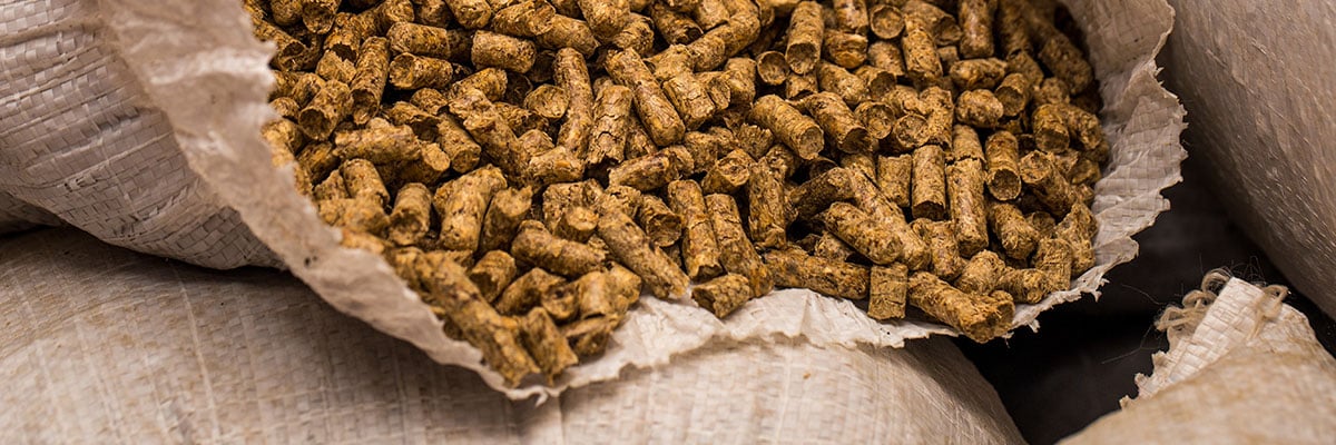 pellets para termoestufas