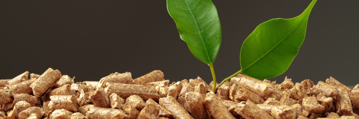 Consejos para elegir entre una estufa de pellets o eléctrica