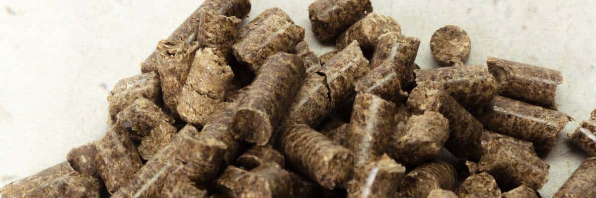 Diferencias entre los pellets y los huesos de aceituna