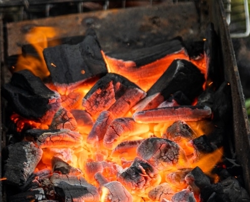 Qué diferencias hay entre el carbón vegetal y las briquetas