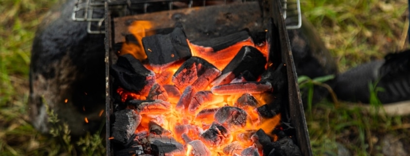 Qué diferencias hay entre el carbón vegetal y las briquetas