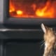 Cómo saber si las estufas de pellets son seguras con mascotas