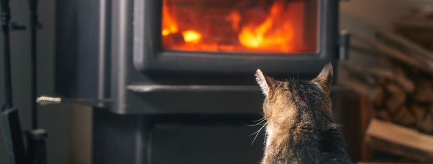 Cómo saber si las estufas de pellets son seguras con mascotas