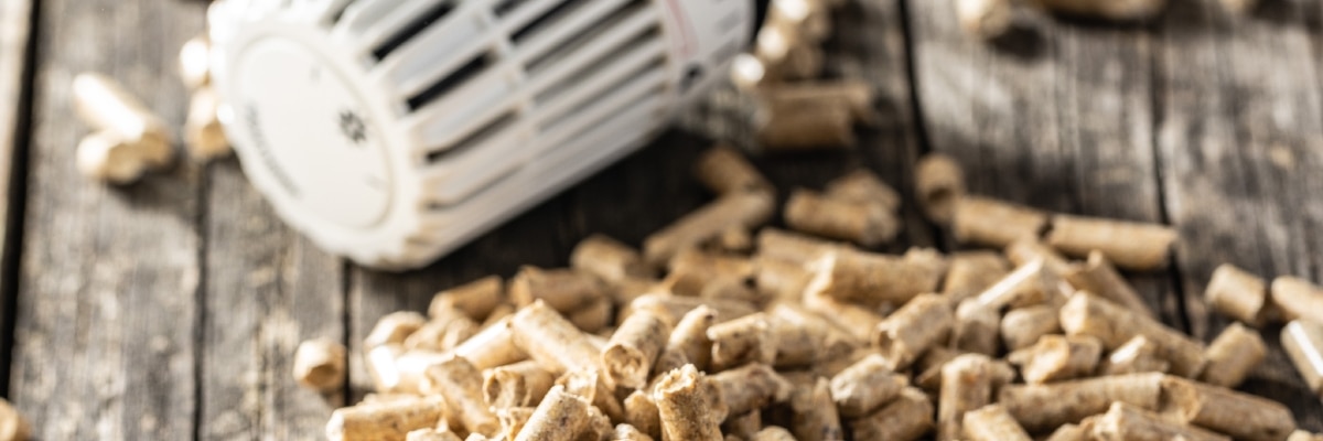 8 razones por las que es mejor comprar una estufa de pellets durante el verano