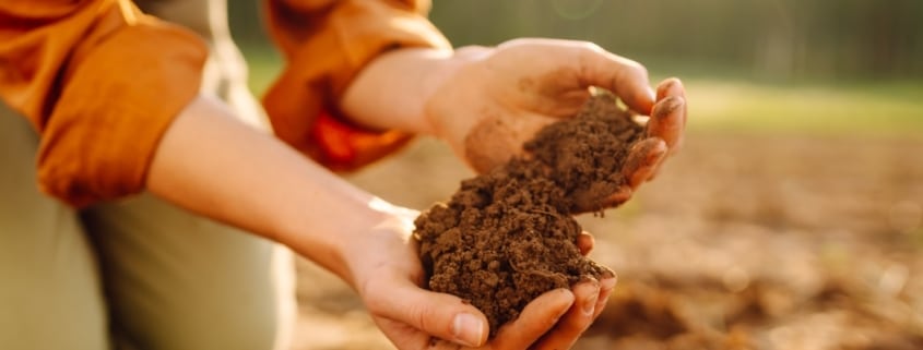 Beneficios del uso de carbón vegetal en la agricultura.