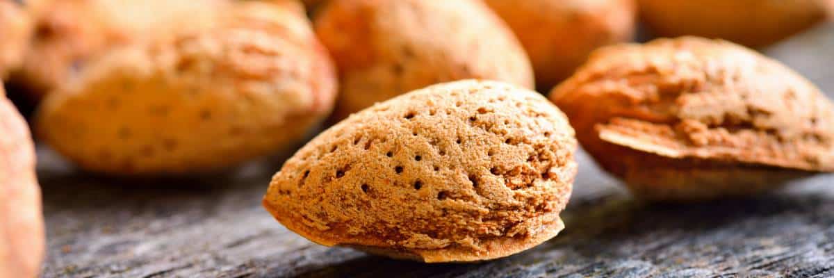 Comparativa entre las cáscaras de almendra y pellets como combustible